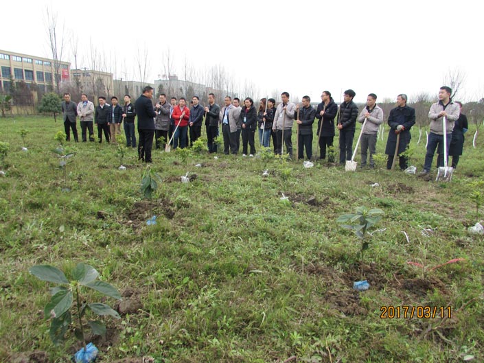 安博体育手机版官方网站入口(й)ҳ