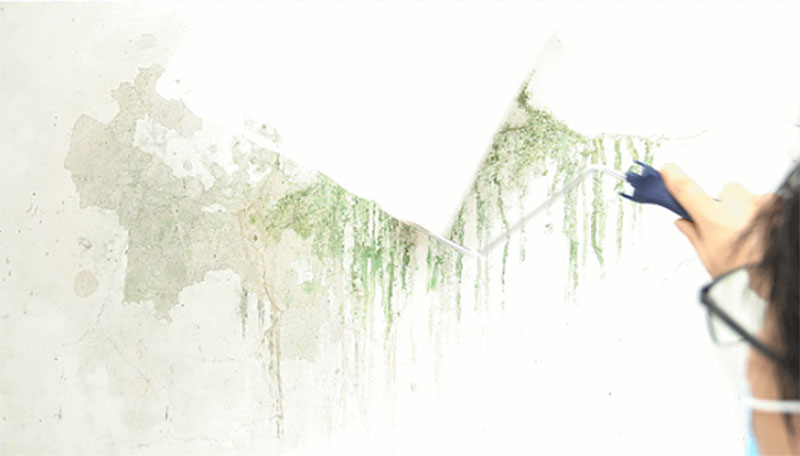 安博体育手机版官方网站入口(й)ҳ