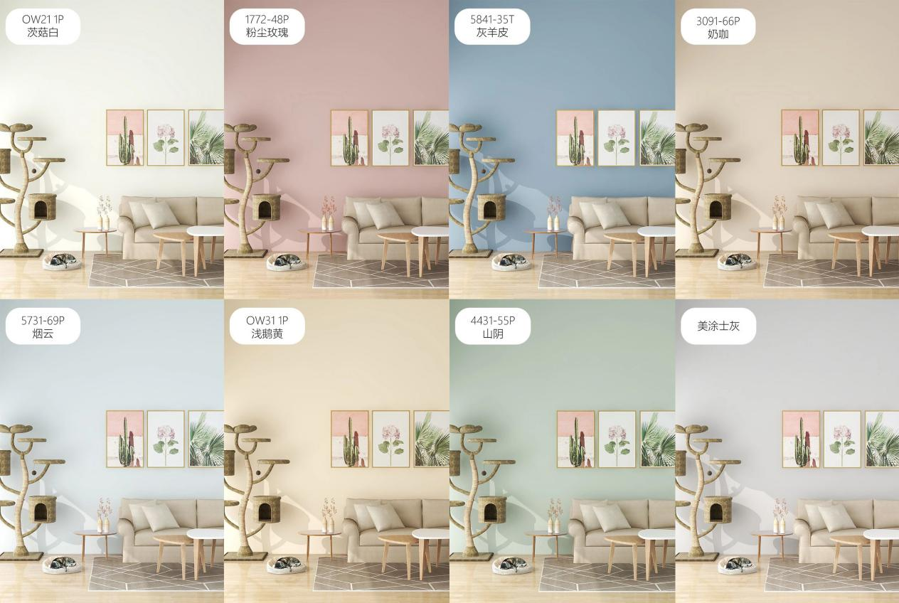 安博体育手机版官方网站入口(й)ҳ